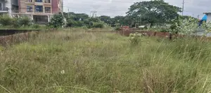 এম ব্লক, ২০ কাঠার প্লট বিক্রয় বসুন্ধরা, বারিধারা।