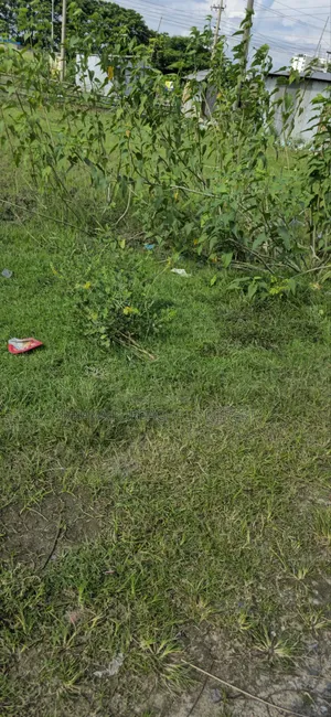 সেক্টর -৩ রাজউক পূর্বাচল পার্ক ও লেক ভিউ দক্ষিণমুখী প্লট বিক্রি