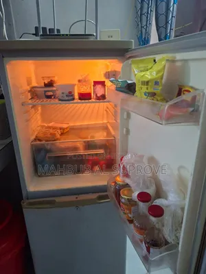 হাইসেন্স ১৯৬ লিটার রেফ্রিজারেটর