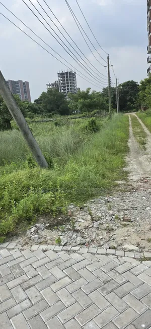 ৭.৫ কাঠার বরাদ্দকৃত লেক ভিউ প্লট বিক্রয়