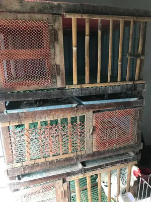 Cage for Sale