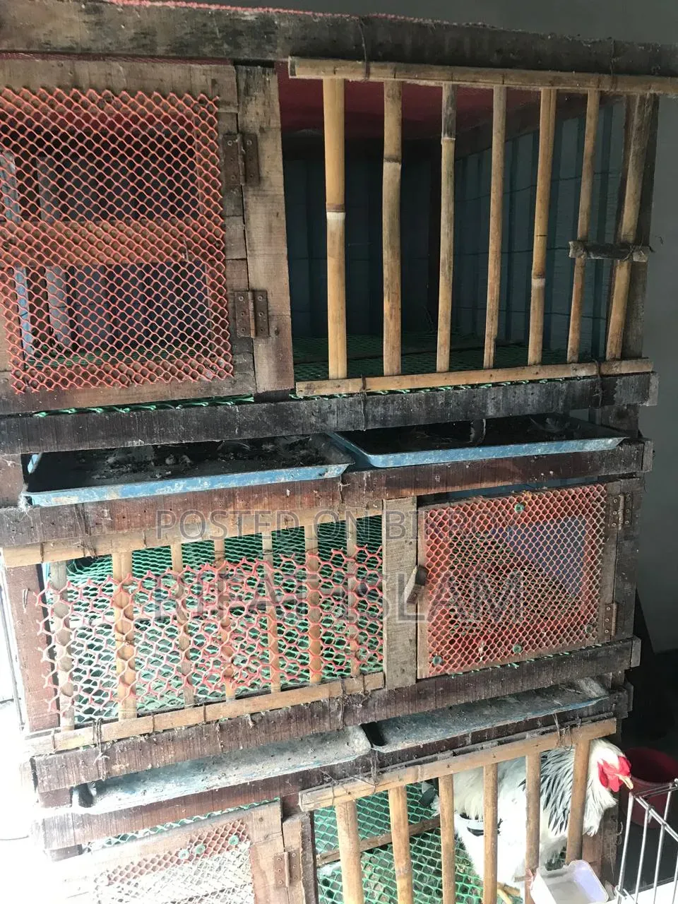 Cage for Sale