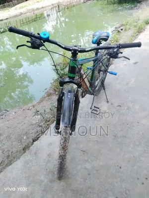 ফিনিক্স কর্টেক্স ২.০