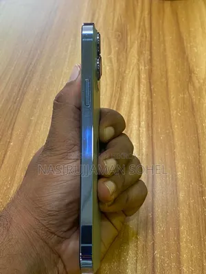 Apple iPhone 13 Pro Max 256 GB Gray