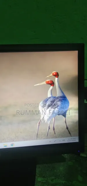 HP V193 18.5" LED Monitor (with minor shadow issue, running condition)