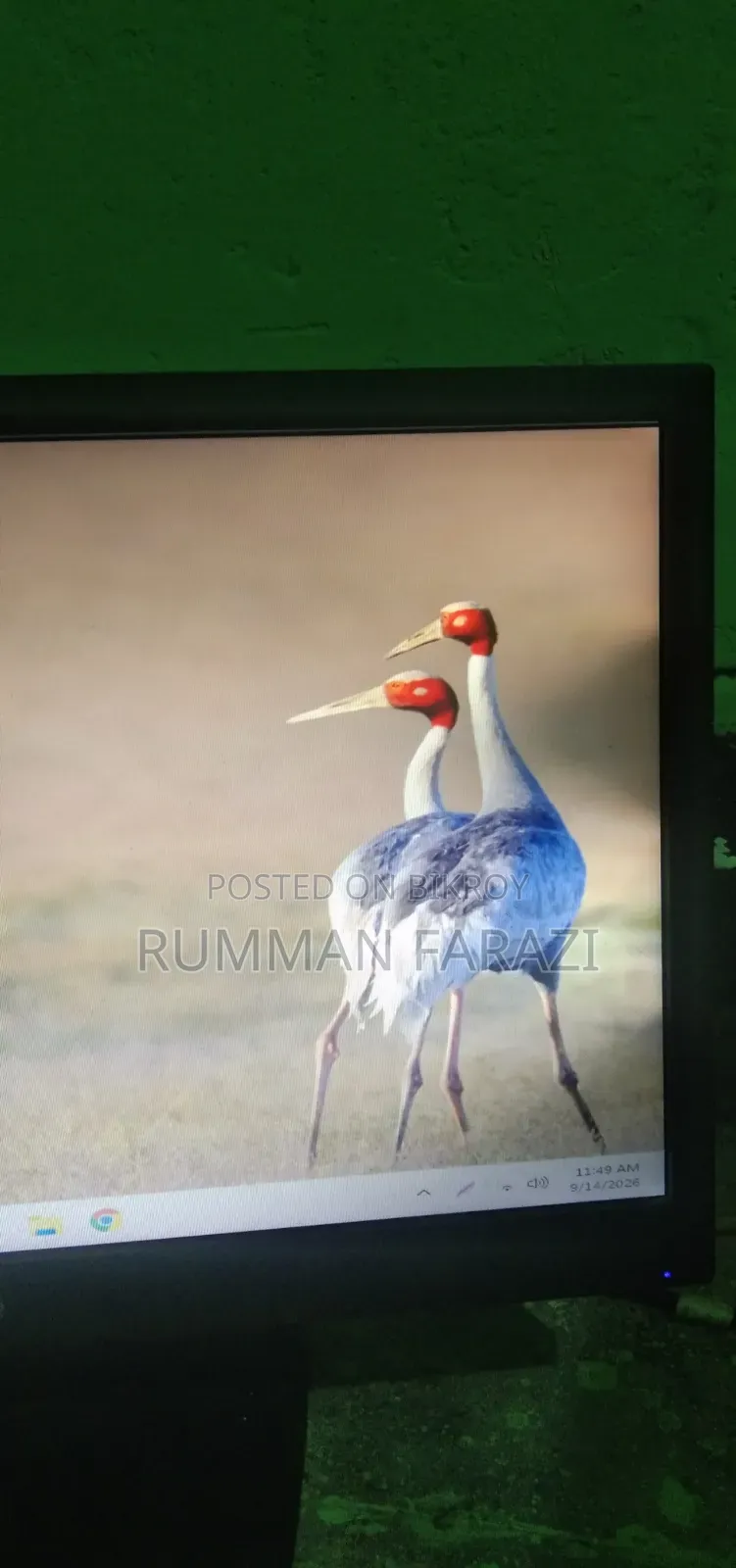 HP V193 18.5" LED Monitor (with minor shadow issue, running condition)