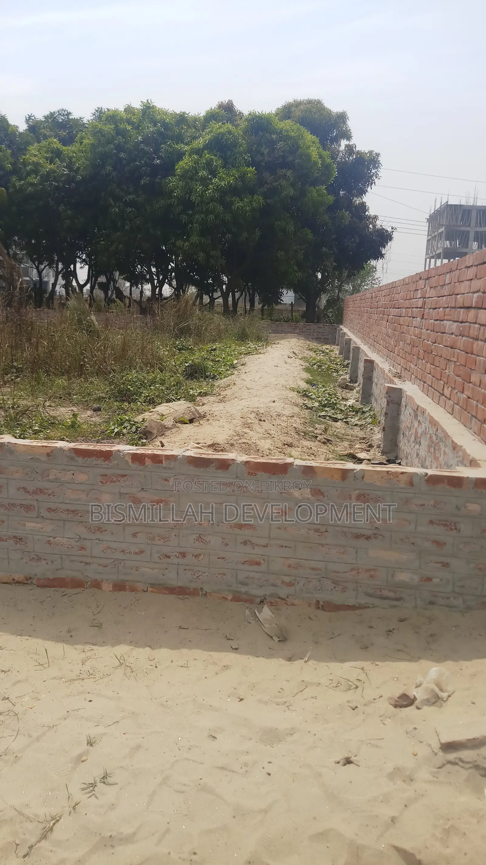 3 Katha Land Sale P-Block With Boundary@bashundhara