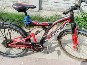 ফিনিক্স সাইকেল