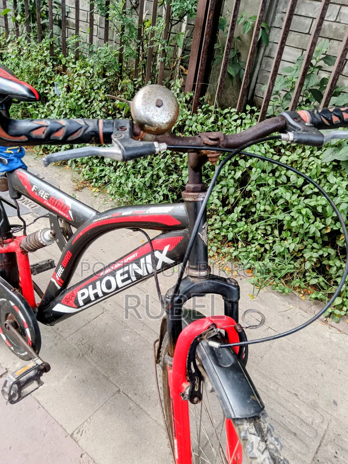 ফিনিক্স সাইকেল