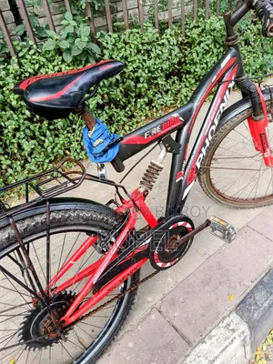ফিনিক্স সাইকেল