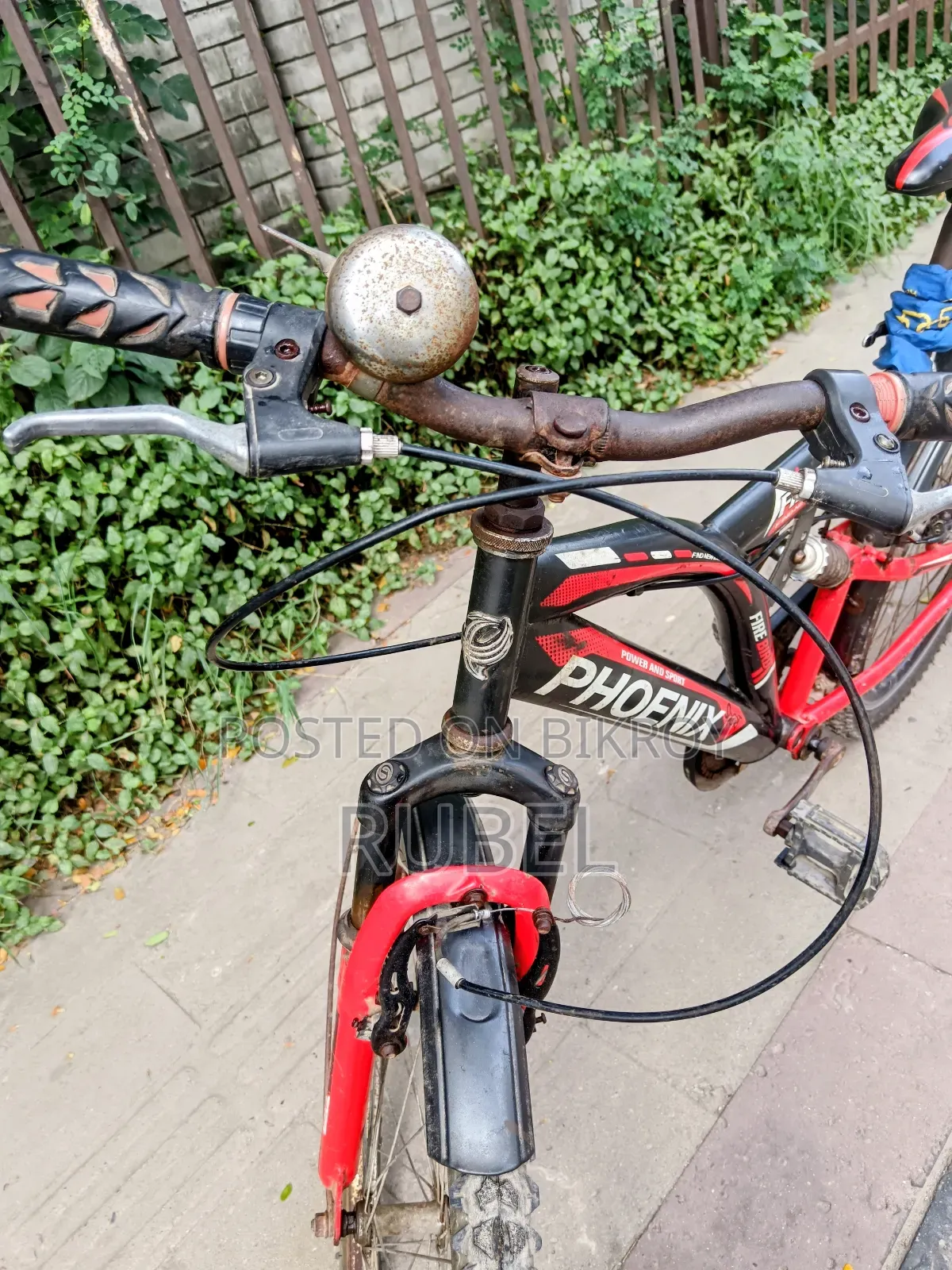 ফিনিক্স সাইকেল