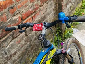 Phoenix Cycle