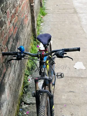 Phoenix Cycle