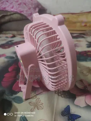 ক্যাট ইয়ার ফ্যান
