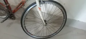 কয়োট রোনিন ৭০০সি