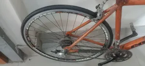 কয়োট রোনিন ৭০০সি