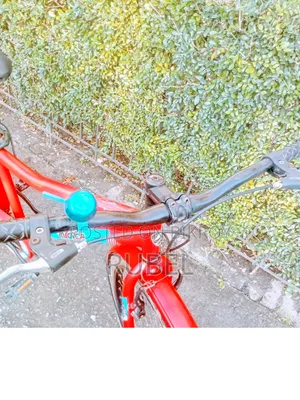 রানিং সাইকেল