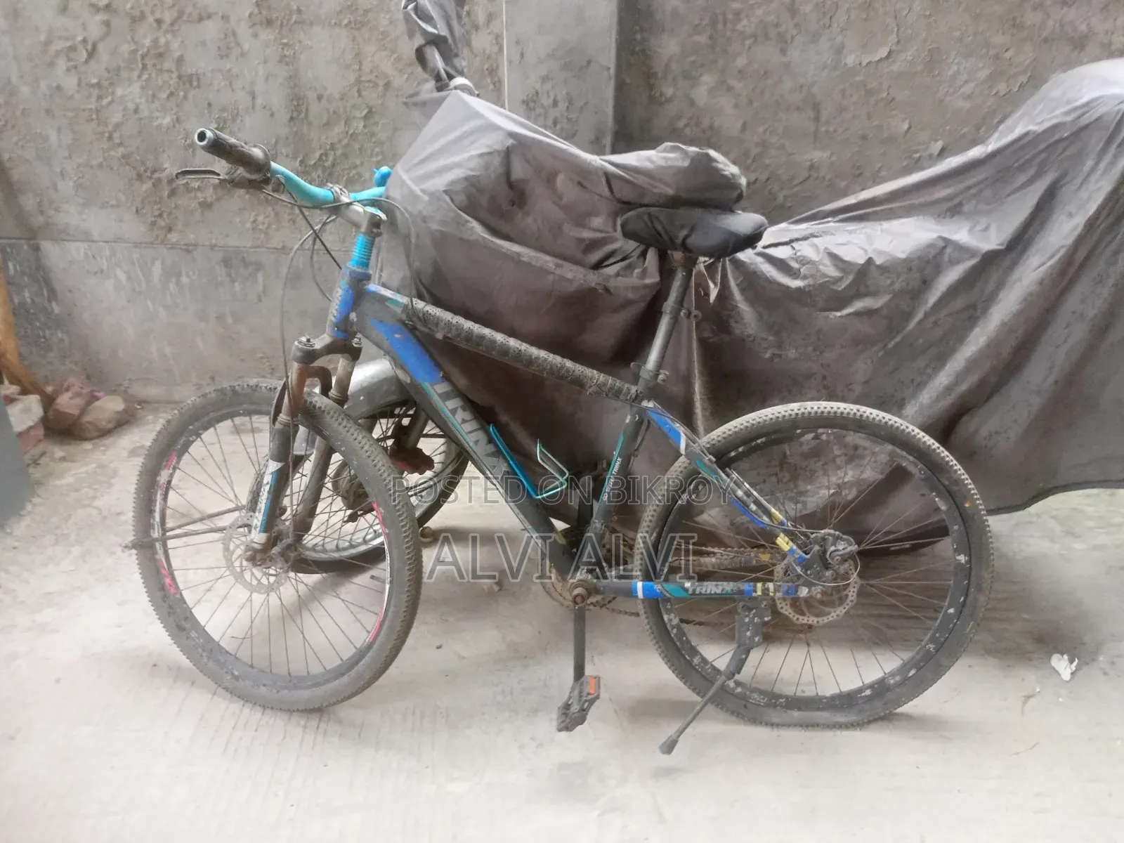 Trinx Cycle Fresh