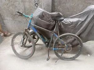 Trinx Cycle Fresh