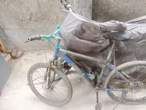 Trinx Cycle Fresh