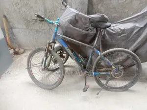 Trinx Cycle Fresh