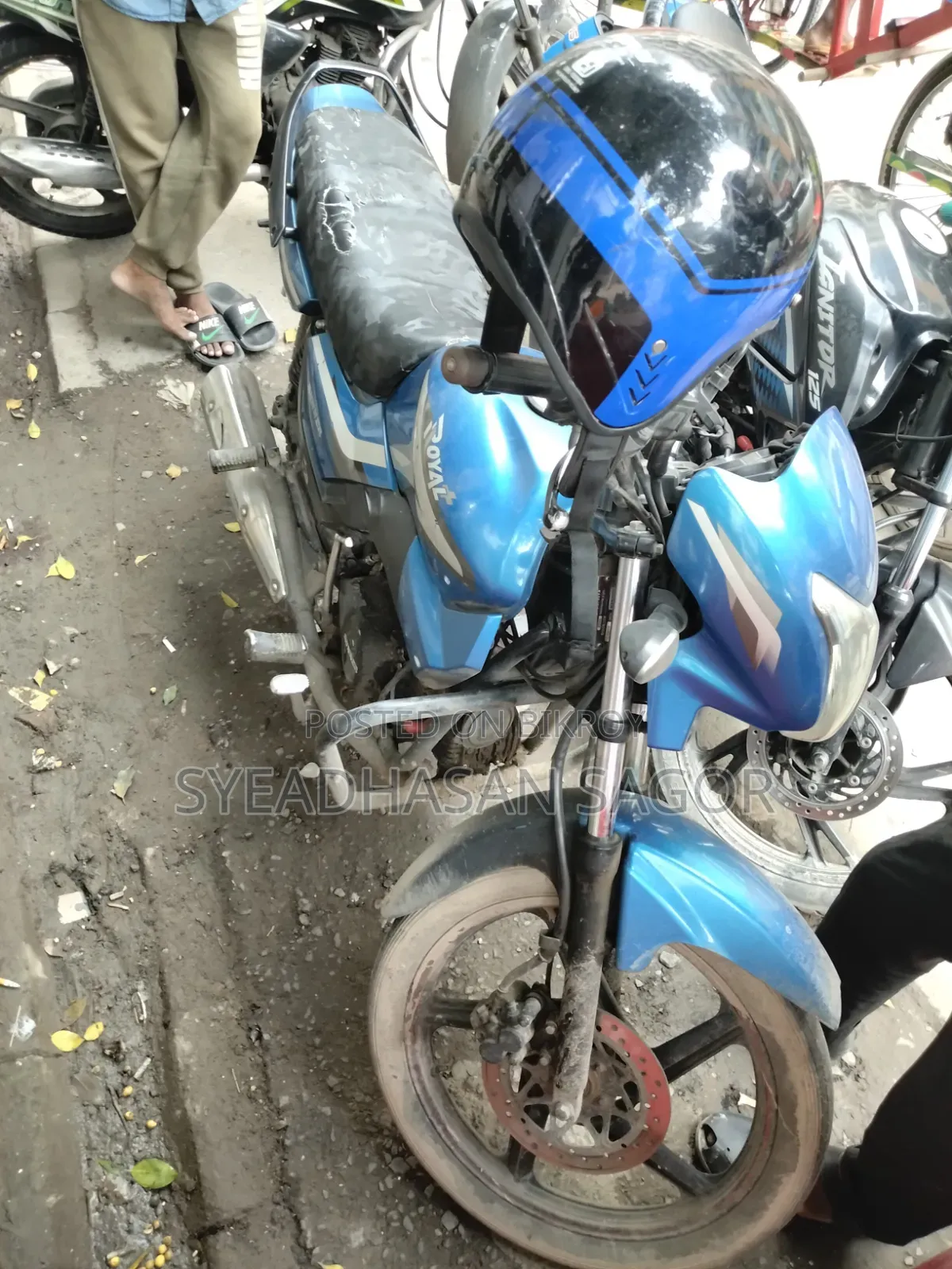 রানার রয়েল+ V2 ২০২২ ব্লু