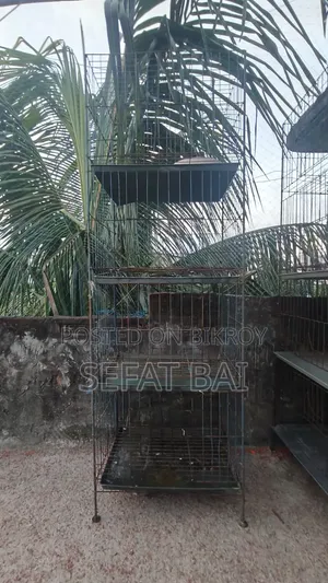 Pigeon cage for sale