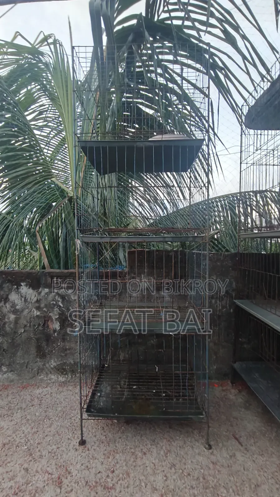 Pigeon cage for sale