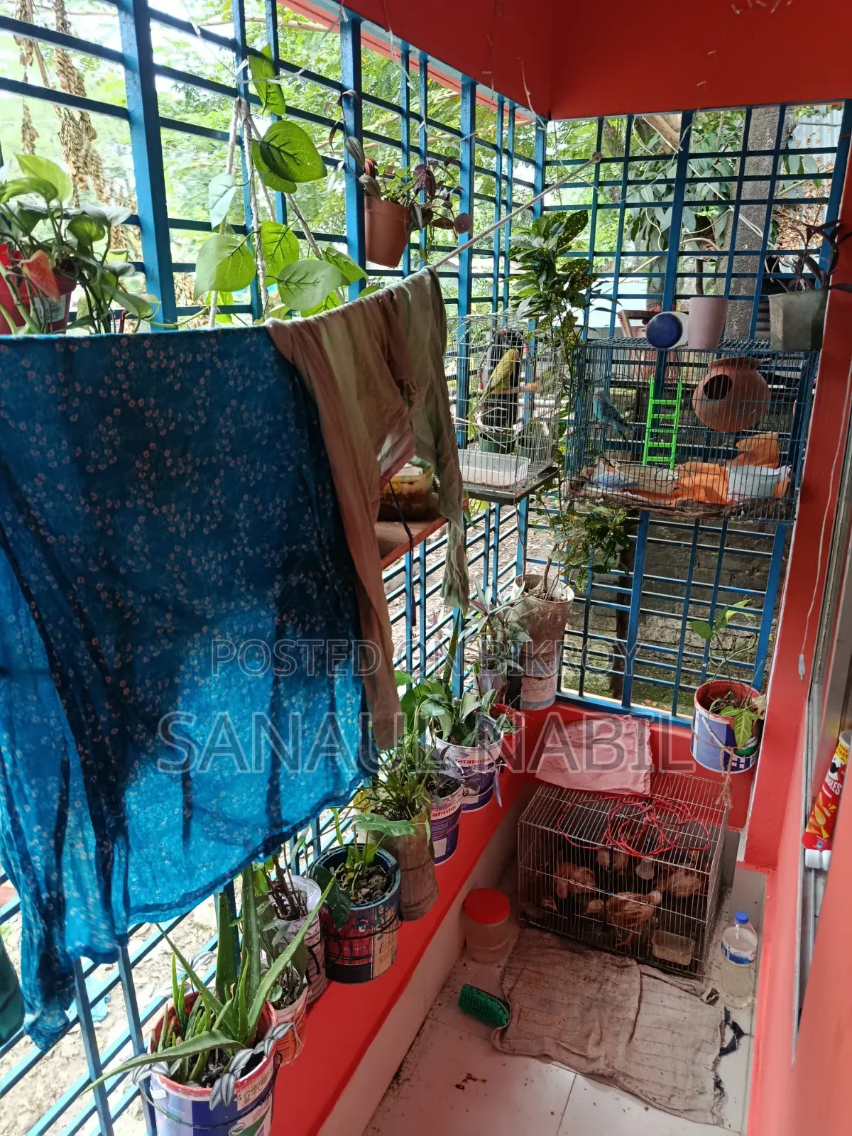 বরিশাল সদরে ৩ বেডরুমের বাসা ভাড়া