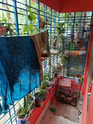 বরিশাল সদরে ৩ বেডরুমের বাসা ভাড়া
