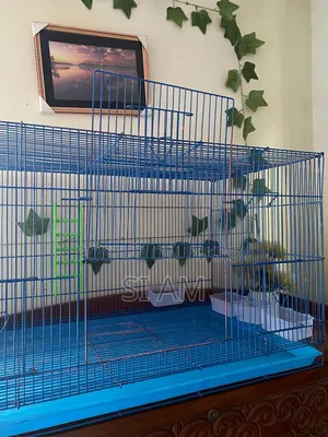 China Cage