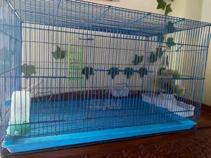 China Cage