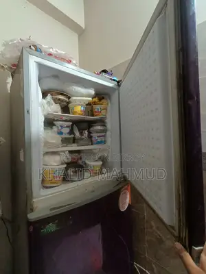 ওয়ালটন রেফ্রিজারেটর (২০ সিএফটি) মডেল ডব্লিউ২ডি-৩এফ৫