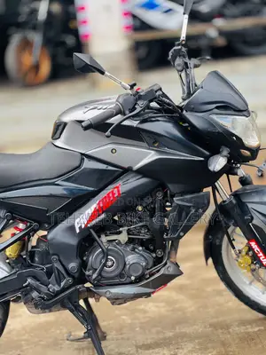 Bajaj Pulsar NS 160 2020 Gray