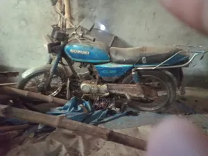 Suzuki 1995 Blue