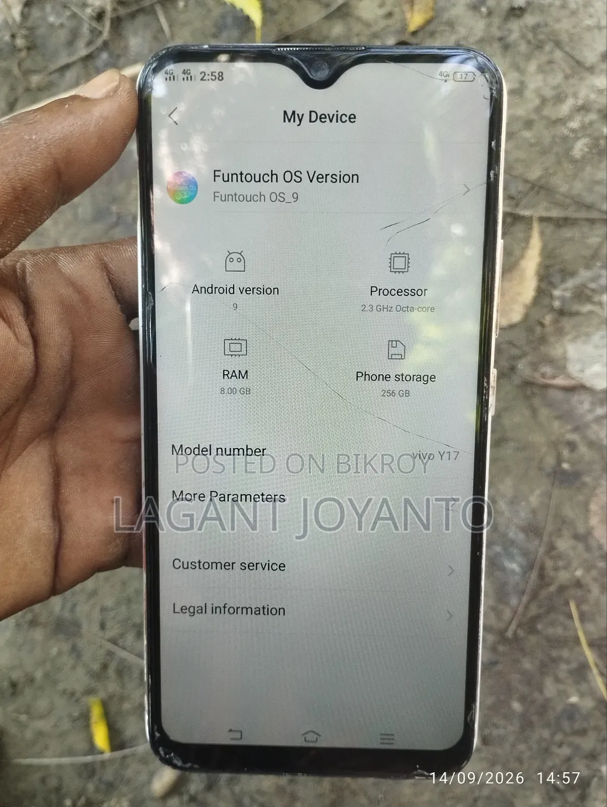 Vivo Y17 256 GB Pink