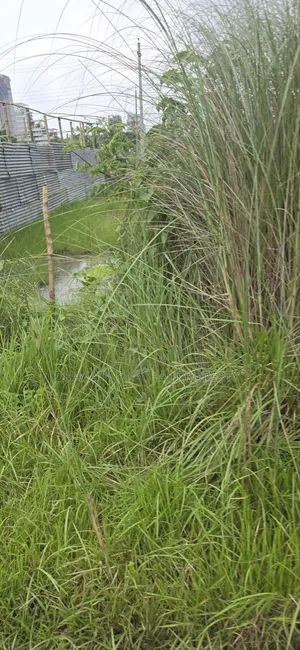 Bashundhara R /A, Block-N, 20 Katha Plot Sell