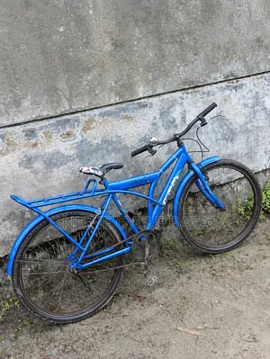 Non-Gear Bicycle