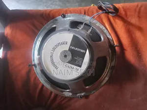 Speaker G12m-70