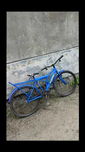 Non-Gear Bicycle