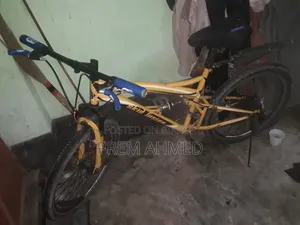 স্কিড বাইসাইকেল