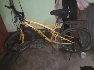 স্কিড বাইসাইকেল