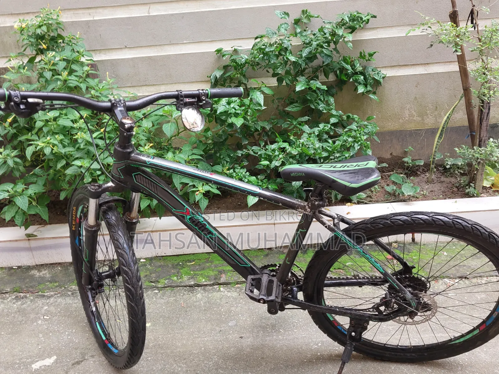 Xavier Cycle