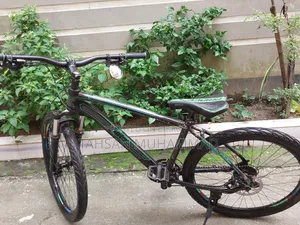Xavier Cycle