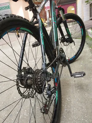 Xavier Cycle