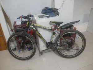 Duranta Cycle