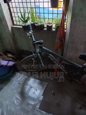বাই সাইকেল