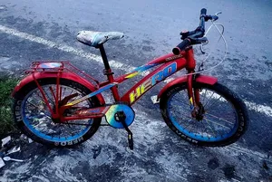 Hero 20 Size Baby Cycle