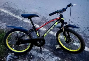 Hero 20 Size Disc Brake Bicycle