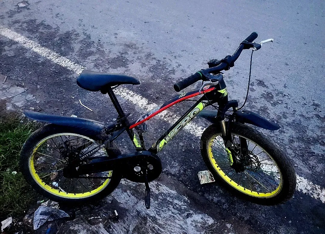Hero 20 Size Disk Brake Cycle